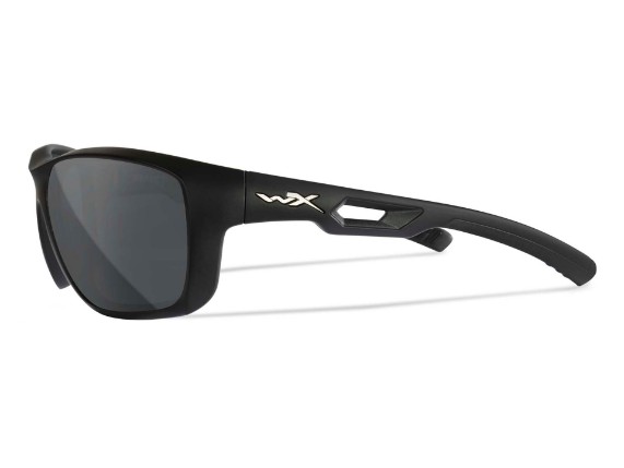 ACASP01 WX ASPECT  s