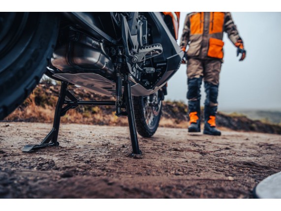 pho_pp_mon_480722_63503916044c1_63503916144c1_63503916544c1_centre_stand_mounted__sall__awsg__v1