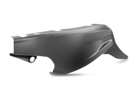 pho_pp_nmon_a6240494604449_swingarm_protection_studio_pictures_street__sall__awsg__v1