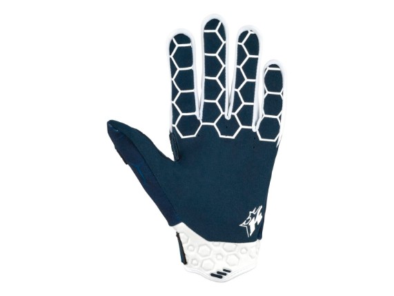 pho_pw_pers_vs_647442_3ki25002910x_kini_rb_competition_gloves_back_kini_rb_collection__sall__awsg__v1