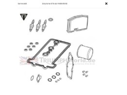 Inspektionsatz Triumph Daytona ab FN 564948