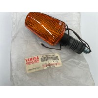 Hinterer Blinker Komplett | 1VU-83330-00-00