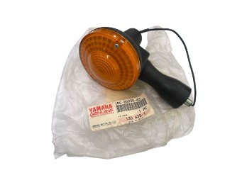 Hinterer Blinker Komplett | 1R6-83330-45-00