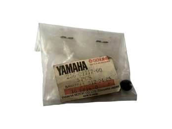 Kappe Damper Seitendeckel 256-21717-00-00