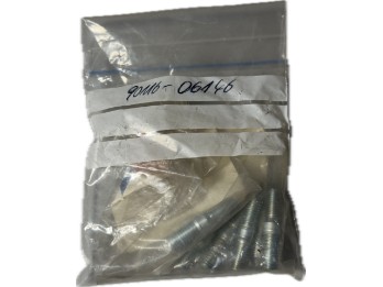 Stehbolzen | 90116-06146-00