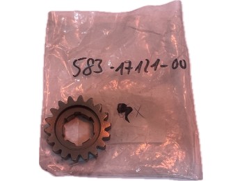 Zahnrad 2, Ritzel | 583-17121-00-00