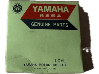 Kolbenringsatz | 307-11601-01-00