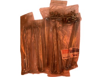 Speichensatz, Hinten | 10V-25304-01-00