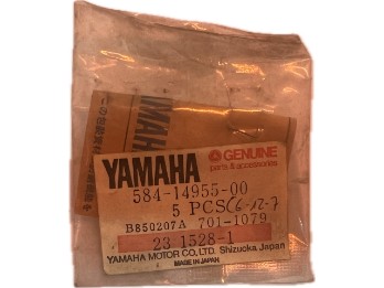 Scheibe | 584-14955-00-00