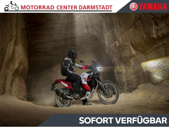 YAMAHA Tenere 700 World Raid, 0024384