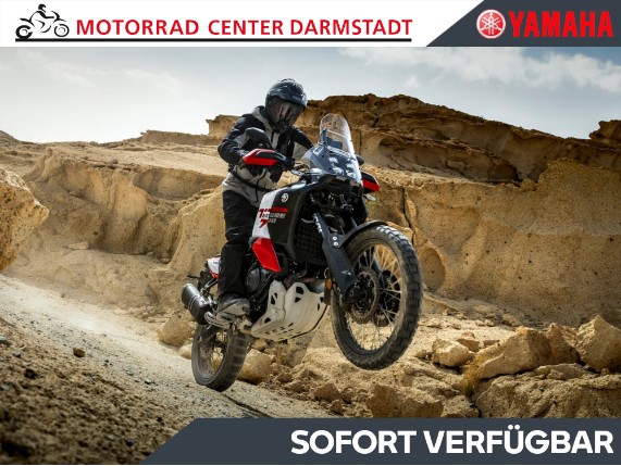 YAMAHA Tenere 700 World Raid, 0024384