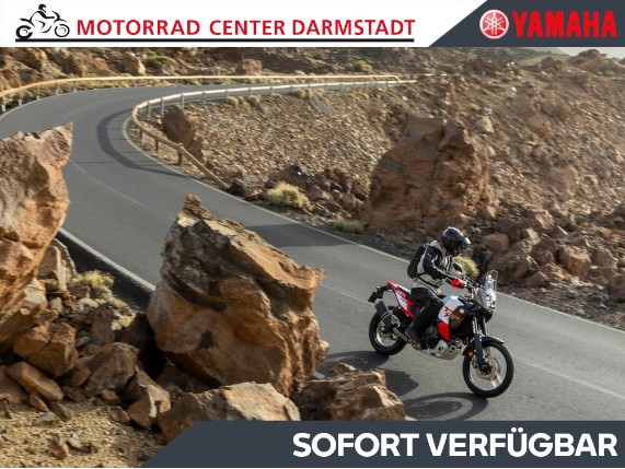 YAMAHA Tenere 700 World Raid, 0024384