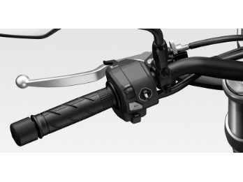 Griffheizung Honda CB1000F 2026-