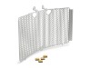 pho_pp_nmon_63535940044_radiator_protection__sall__awsg__v1