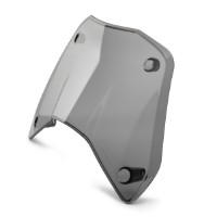 Windschild