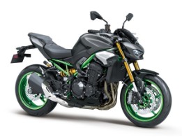 Z900 Performance 2025