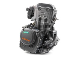 Motor 250 Duke