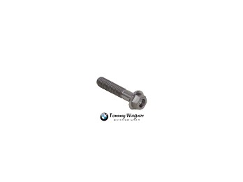 Sechskantschraube mit Bund M6x30 Titan