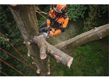 MSA 220 TC-O, PS Pro, Schienenlänge 30 cm