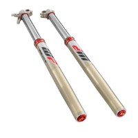 Gabel EXCF FE 350 2020
