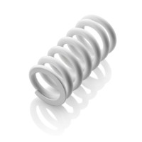 FEDERBEINFEDER