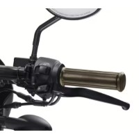 Brass-Kollektion Griffe / Messing -  XG Modelle