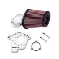 Screamin Eagle Heavy Breather Extreme inkl. Bertl´s Kombigutachten / Chrome