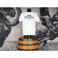 Harley-Davidson® Herren Dealershirt "Ascend" mit Domreiter backprint