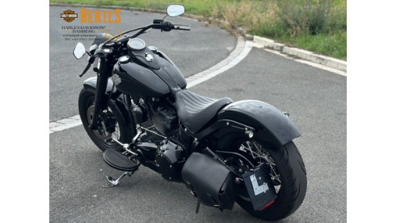 Harley-Davidson Softail Slim S 110, 0004874