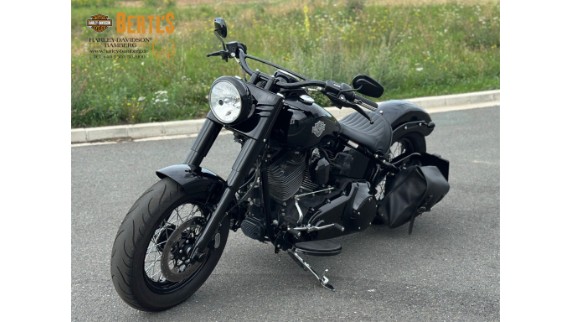 Harley-Davidson Softail Slim S 110, 0004874
