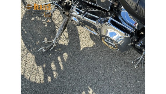 Harley-Davidson Springer, 0005059