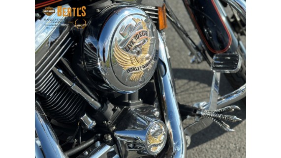 Harley-Davidson Springer, 0005059