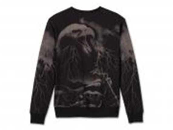 Pullover-H-D-Eagle-Rider-Crewneck-_1_product_medium