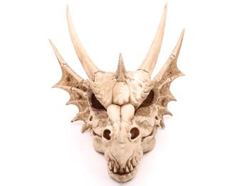 Großer Drachenschädel Dekoration aus Harz 47 cm Fantasy Schädel Figur