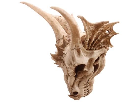 140-drg390-004-1599510420