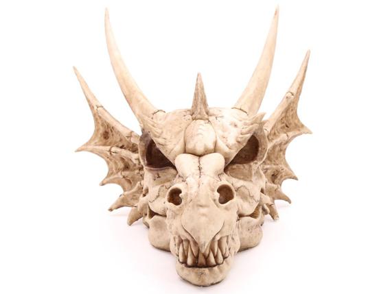 140-drg390-006-1599510420