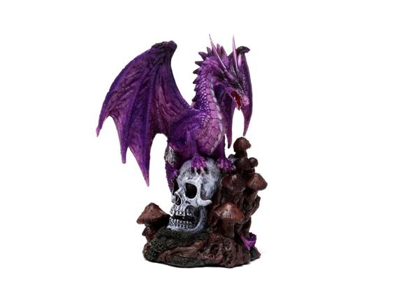 146-drg562-001-1721309320