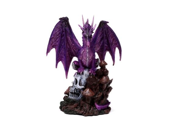 146-drg562-002-1721309320