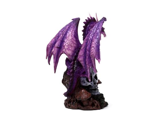 146-drg562-006-1721309320