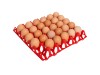 195-eierhorde-rot-1