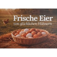 Werbeschild "Frische Eier" 59X42cm