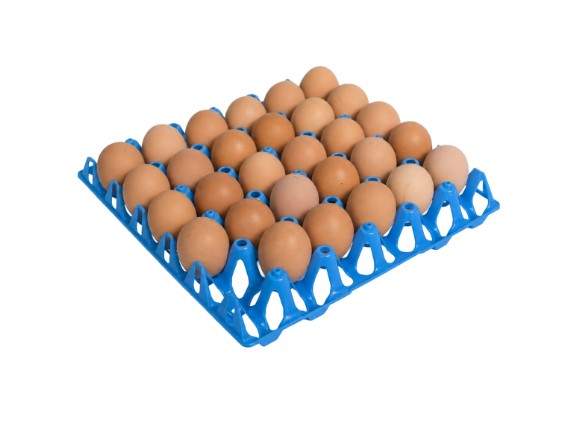 195-eierhorde-blau-1