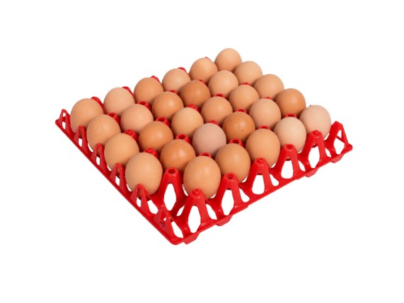 195-eierhorde-rot-1