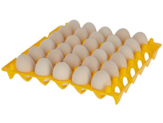 23-1000384-2