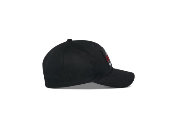 1216-81060-10_r2-matrix-snapback