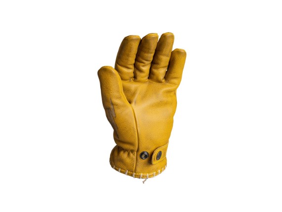 JDG7042_Coyote_Yellow-Grey_Freisteller_3_LR