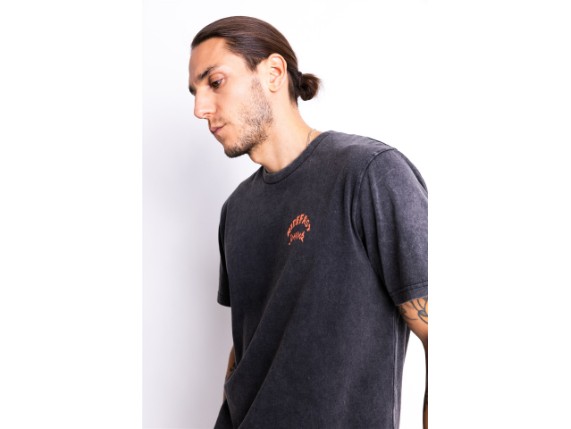JDS7105_Lion_FadeOutBlack_18
