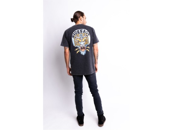 JDS7105_Lion_FadeOutBlack_21