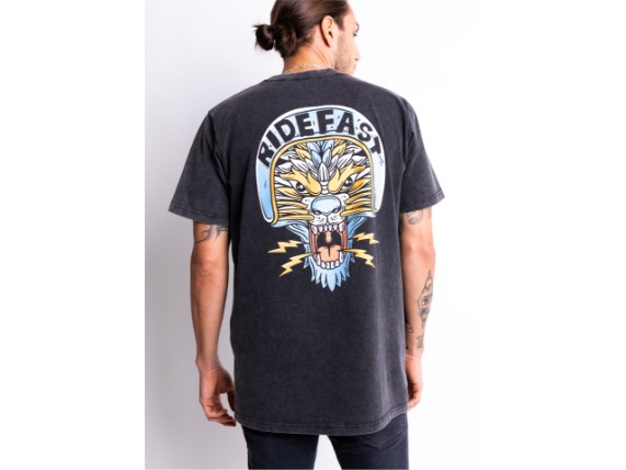 JDS7105_Lion_FadeOutBlack_22
