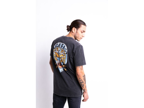JDS7105_Lion_FadeOutBlack_23